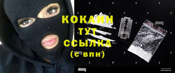 амф Алексин