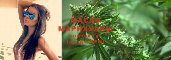 индика Абинск