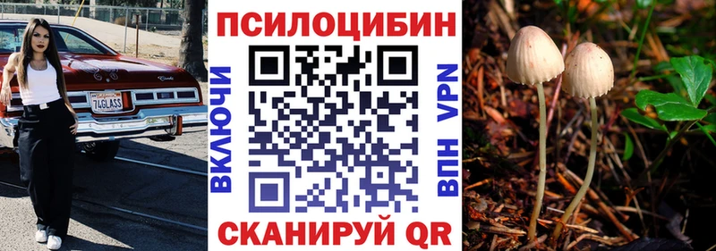 Псилоцибиновые грибы ЛСД  наркотики  Касимов 