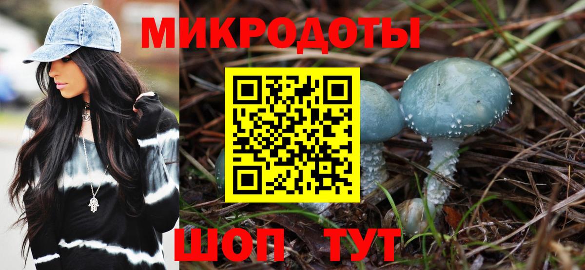Галлюциногенные грибы Psilocybe  дарнет шоп  Касимов  Вход с VPN 